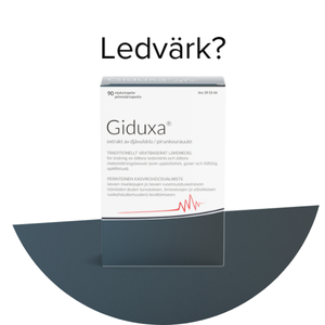 Giduxa Ledvärk